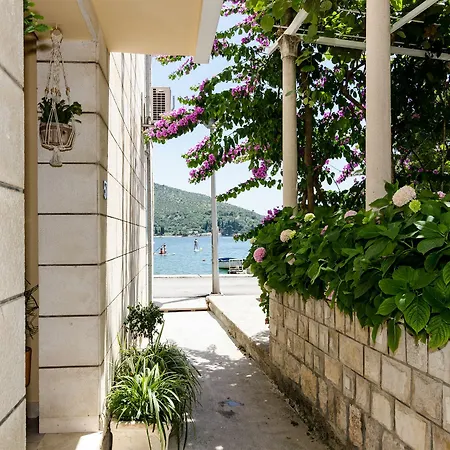 Διαμέρισμα Zaton