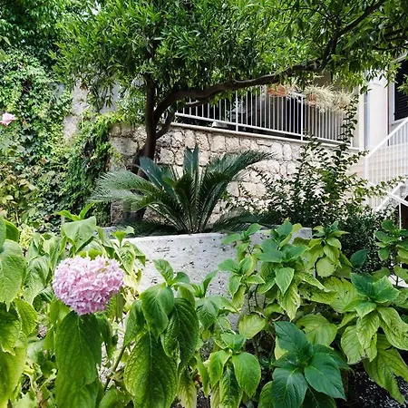 Apartment Zaton Dubrovnik