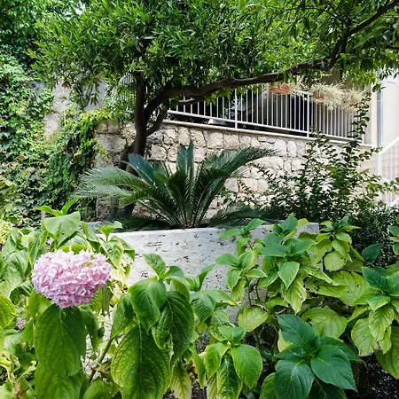 Zaton * Dubrovnik